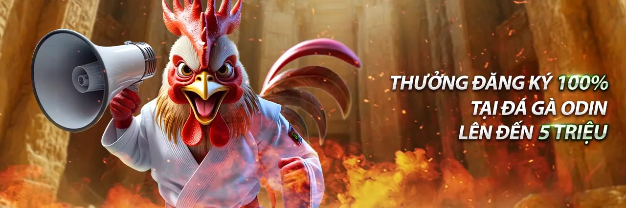 Hình ảnh tổng quan về abc8 trang chủ, nền tảng cá cược trực tuyến uy tín và hiện đại